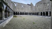 PICTURES/Askeaton Village - Desmond Castle & Franciscan Friary/t_G Phone (8).jpg